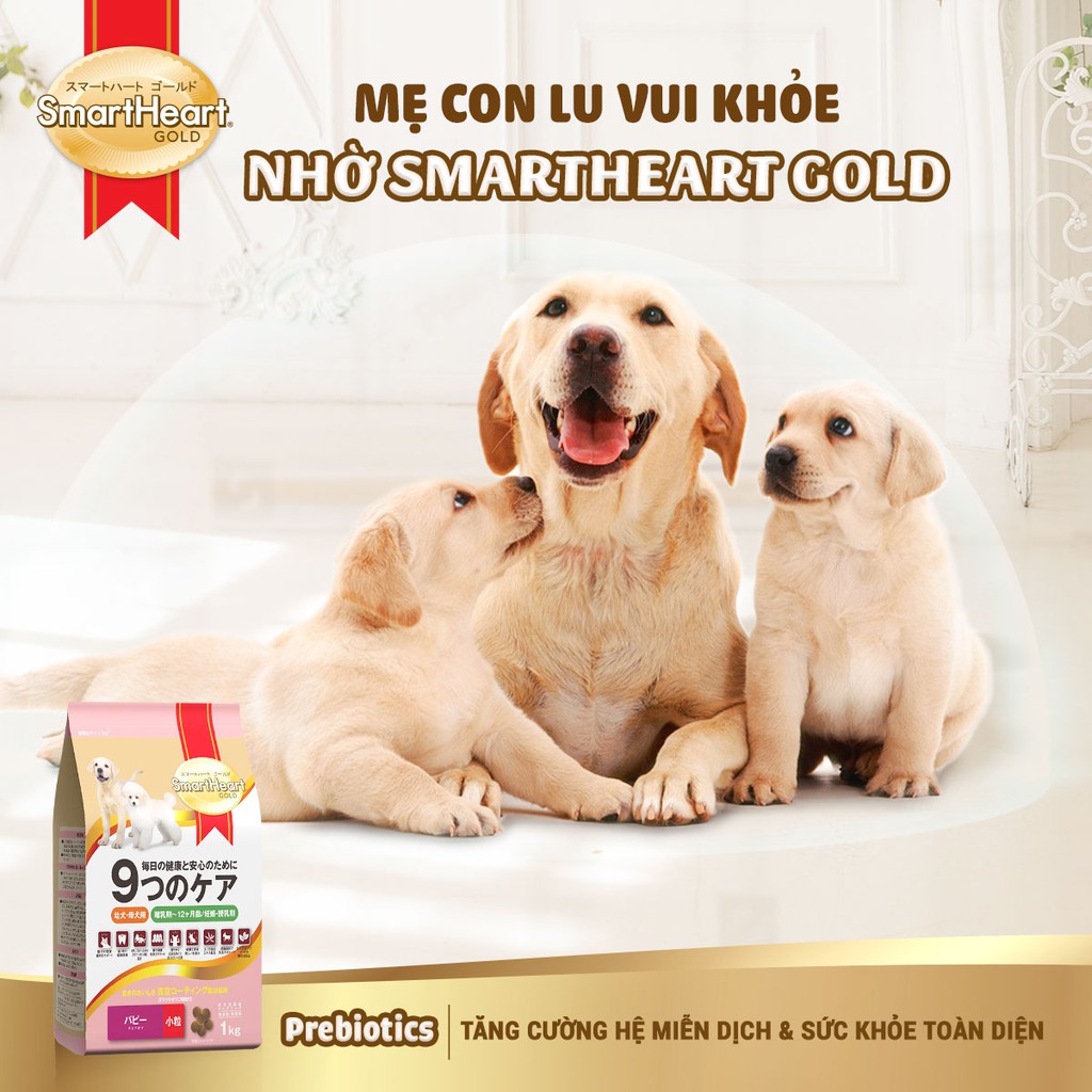 Thức ăn cho chó con và chó mẹ nuôi con Smartheart Gold Puppy 1kg