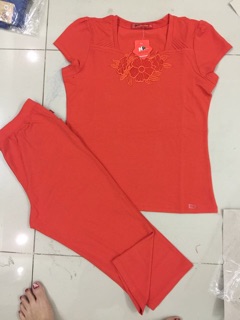 Đồ bộ thun cotton size 2x (59-65kg)