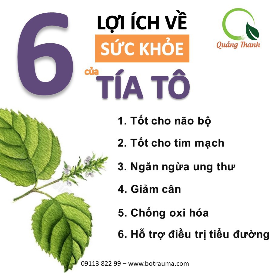 Bột tía tô nguyên chất sấy lạnh Quảng Thanh