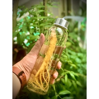 Rựu sâm tươi Hàn Quốc 500ml nguyên củ