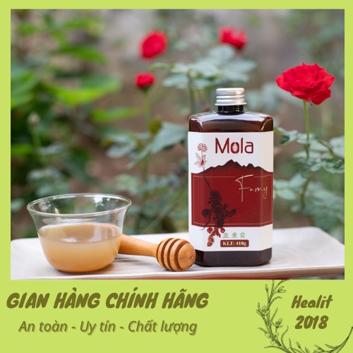 Mật Ong Lên Men MOLA FAMY - Mật ong lên men Hồng đẳng Sâm, Gừng Chanh Tỏi Sấy Lạnh - Bổi bổ sức khỏe, Nâng Cao miễn Dịch