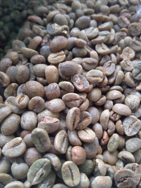 Cà phê nhân Arabica chế biến khô S 18