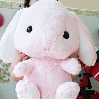 Thỏ Loppy Use Size Đại
