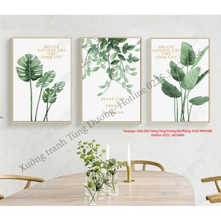 Bộ 3 tranh canvas treo tường lá nhiệt đới - Size 40*60  (Kèm Khung)