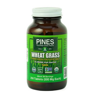 Thực phẩm bổ sung chất xơ cho trẻ nhỏ và người lớn wheat grass