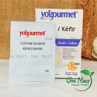 Men Làm Sữa Chua Kefir Yogourmet