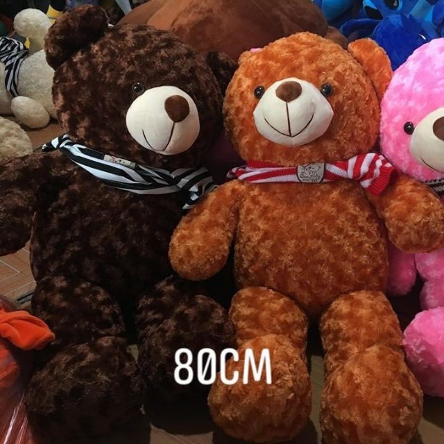 Gấu tendy 80cm