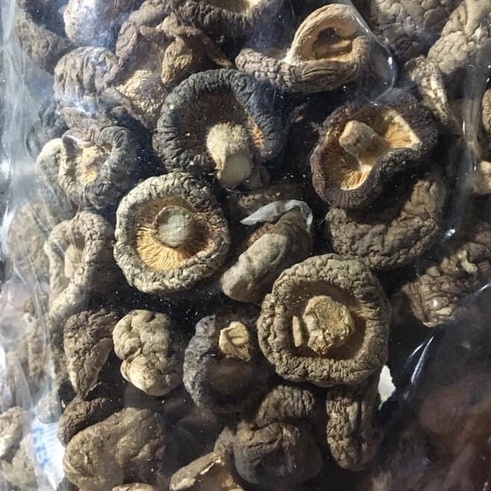 Nấm Đông Cô - Nấm Hương Thiên Nhiên Từ Rừng Tây Bắc - Ẩm Thực Hà Giang, Đặc Sản Tây Bắc | BigBuy360 - bigbuy360.vn