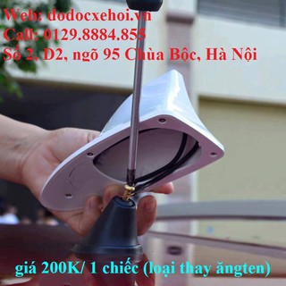 Đuôi gió thể thao loại thay angten râu của xe