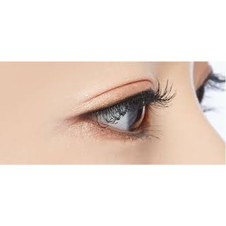 Mascara Missha The Style 4D