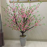 10 cành đào nụ loại 5 nhánh