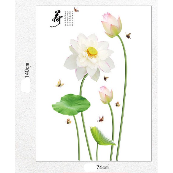 Decal trang trí Hoa Sen Trắng thanh nhã