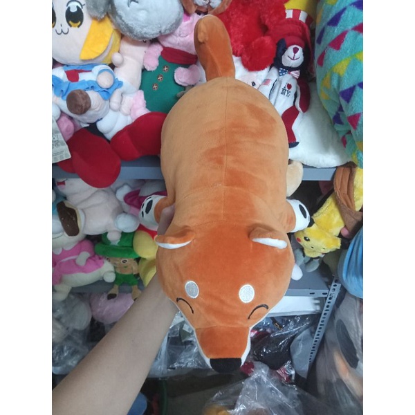 Gấu bông cún siba size 50-55cm