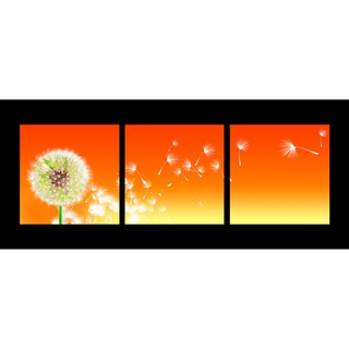 Tranh bộ treo tường 3 tấm : Bồ công anh trong gió - không khung viền 30*30cm