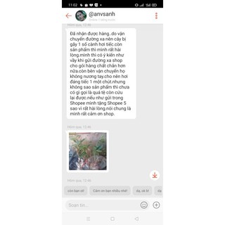 Đào Bích,phai kép giống