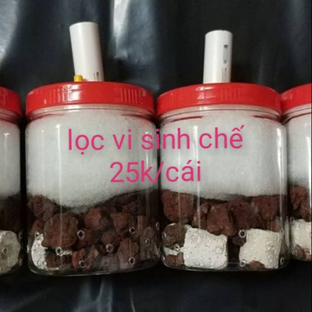 Lọc vi sinh chế