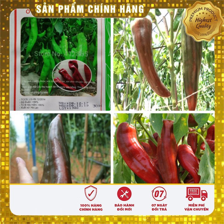 Hạt giống ớt sừng ngọt - 30 hạt