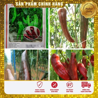 Hạt giống ớt sừng ngọt - 30 hạt