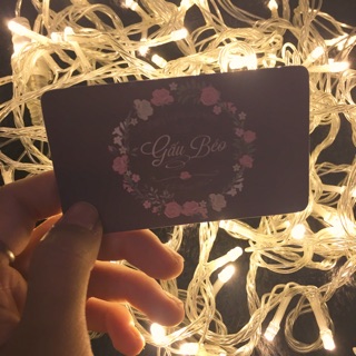 Dây đèn Fairy Light 10 mét bóng đầu đũa cắm điện ( loại cao cấp)
