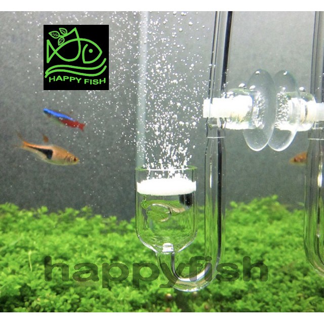 Cốc Sủi CO2 Thuỷ Tinh Siêu Mịn - Cốc Sủi Nano