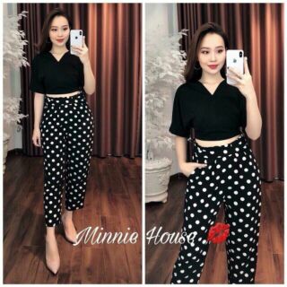 Set áo cổ V quần chấm bi