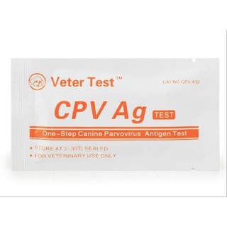 Que test pravo cho chó