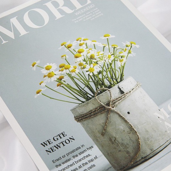 Ảnh bìa sách đẹp phụ kiện trang trí chụp ảnh sản phẩm xin xắn. postcard decor