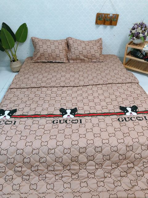Bộ chăn ga gối cottong poly 5 món sẵn hàng