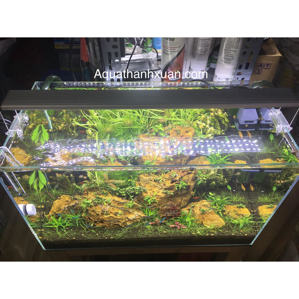 ĐÈN LED ODYSSEA SLIM X 10000K CHO BỂ THỦY SINH