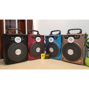 Loa karaoke P88 Profit Ko Mic