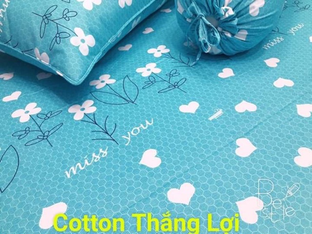 Bộ ga Cotton Thắng lợi [GIÁ GỐC] đủ size, đủ màu sắc 4 món | BigBuy360 - bigbuy360.vn