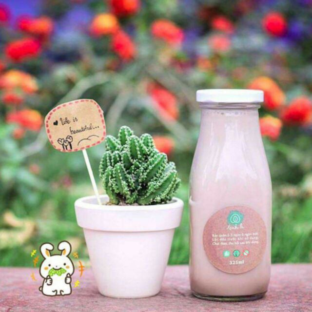 🍅 Mẫu mới 2020 🍅 Bình Thủy Tinh Nắp Thiếc 310ml trơn | BigBuy360 - bigbuy360.vn