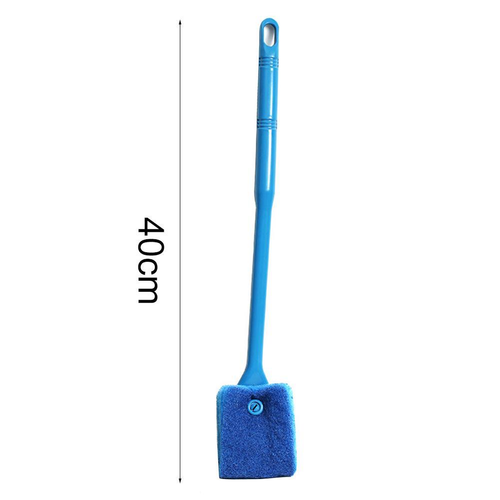 Cây Lau Kính Bể Cá H7Z1