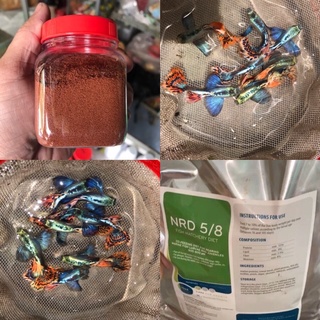 Cám cá MS1 guppy bảy màu Dumbo móiac(2 cặp)