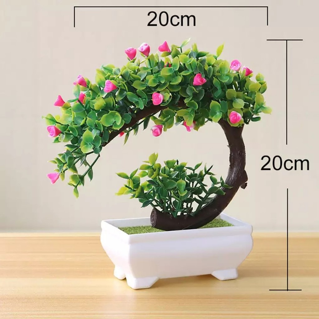 Chậu cây bonsai phú quý tài lộc trang trí nhà cửa kích thước 20cmx19cm