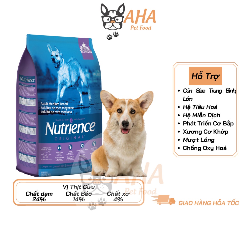 Thức Ăn Cho Chó Corgi Nutrience Infusion Bao 5kg Da Lông Bóng Mượt - Thịt Cừu, Rau Củ, Trái Cây