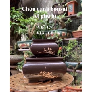 2 Vuông khum trông cây bonsai siêu mini trồng thạch xương bồ