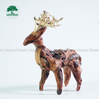 Lũa Bonsai, Lũa thủy sinh dùng trang trí hồ cá cảnh, hồ thủy sinh, văn phòng, nhà cửa- NHÀ XANH