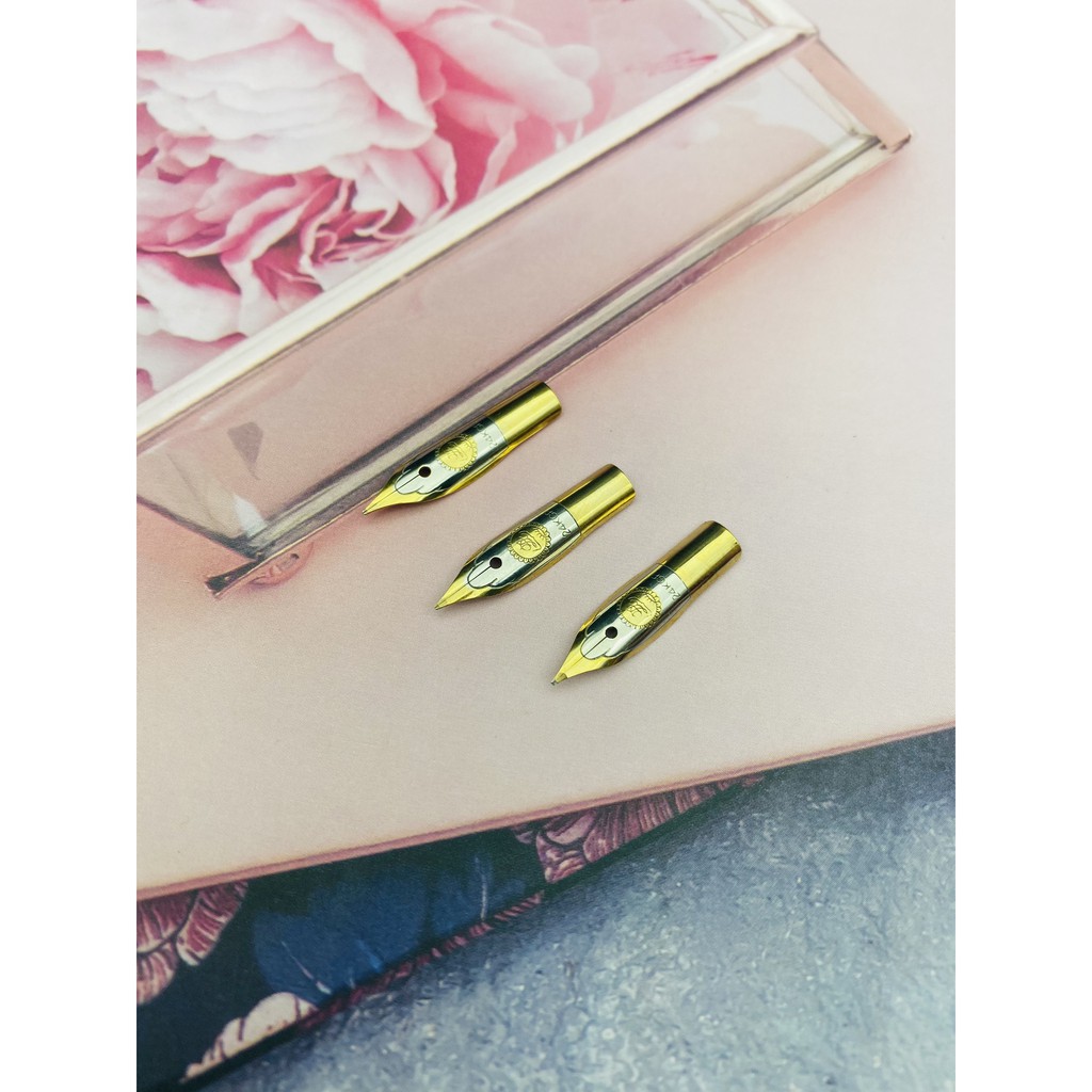 Ngòi bút máy thay thế I Ngòi hoa vàng