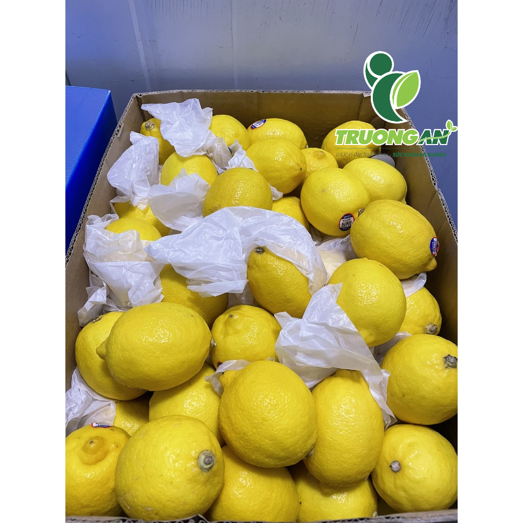 - CHANH VÀNG COMBO 3 TRÁI