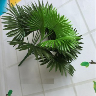 🌳Cây Cọ Cây Vạn Tuế Cao 50cm, 18 nhánh 🌳 - Cây Gỉa trang trí hàng rào, tường cỏ