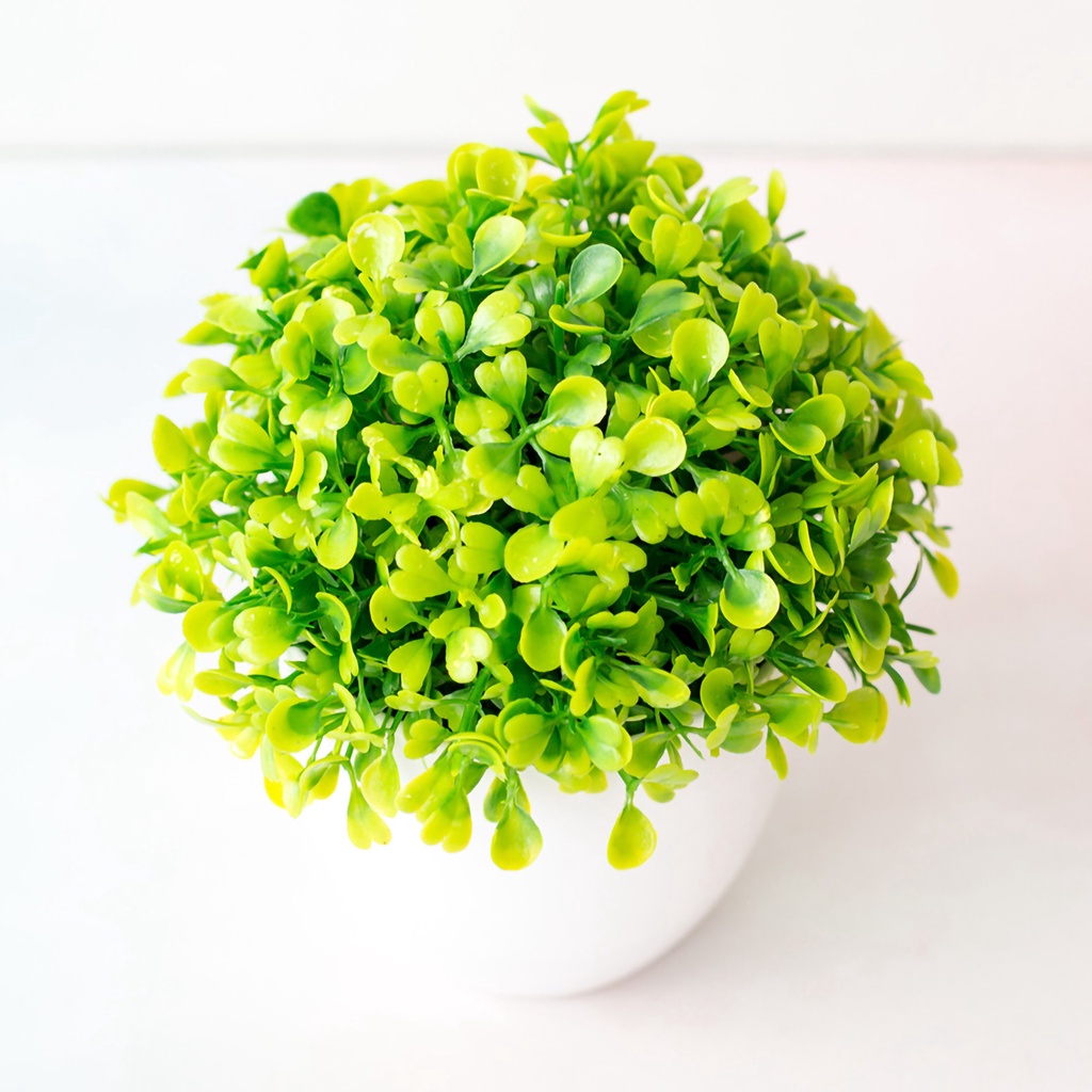 Chậu cây giả hình trái tim bằng nhựa trang trí nhà cửa đẹp mắt