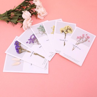 Phụ kiện chụp ảnh/Trang trí- Thiệp hoa khô vintage bao đẹp đẹp đẹp