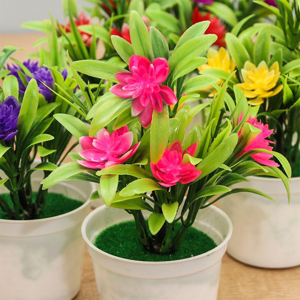 Chậu Cây Cảnh Mini Màu Sắc Đỏ Dùng Trang Trí Tiệc Cưới