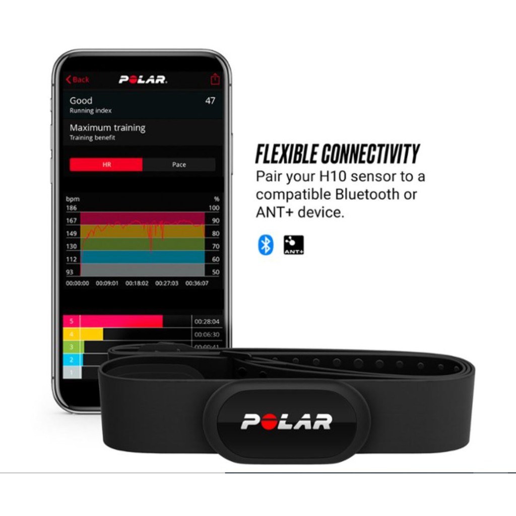 Dây Đeo Thông Minh Cảm Biến Đo Nhịp Tim Polar H10 - Bảo hành 24 tháng chính hãng
