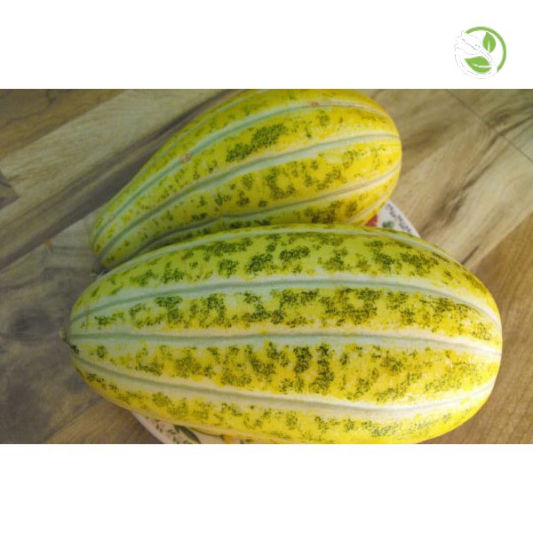Hạt Giống Dưa Gang Sweet PN-555 Phú Nông - Gói 1g