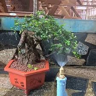 Combo 5 Béc Phun Sương Đồng