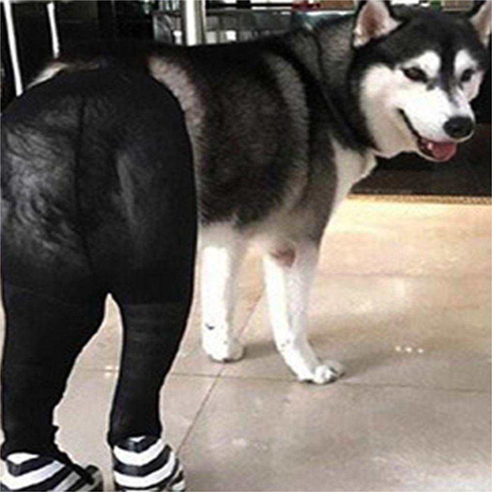 Quần Tất Lưới Cotton Mềm Mại Màu Trơn Cho Thú Cưng