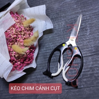 Kéo cắt thực phẩm hình chim cánh cụt