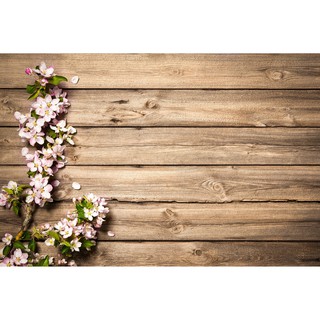 Vải 3D chụp hình mẫu hoa đào cành